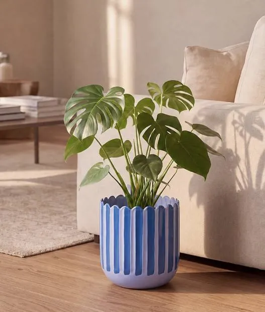 Fluted ceramic planters from Chumbak