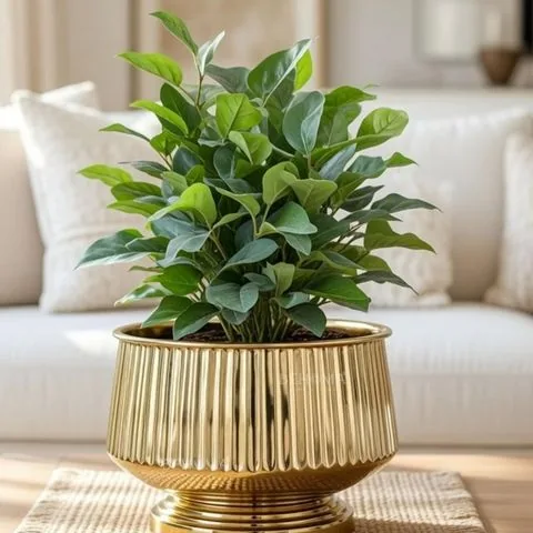 Fluted gold planter