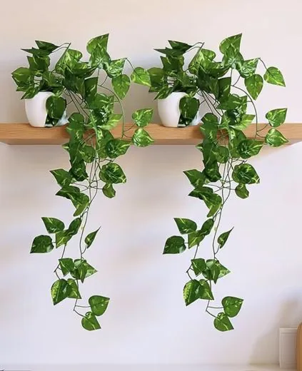 Two trailing faux money plants in white pots, hanging off a shelf