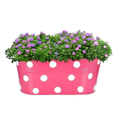 Pink polka dot metal railing planter