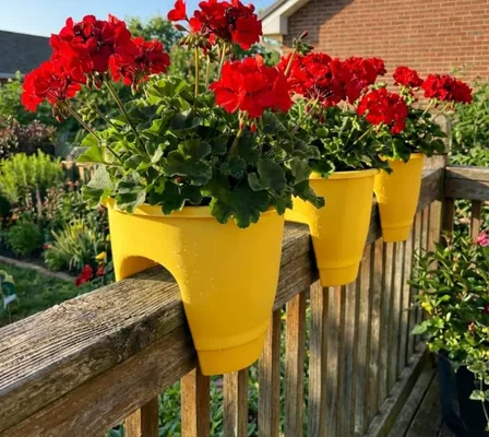 Yellow railing planters with red flowers