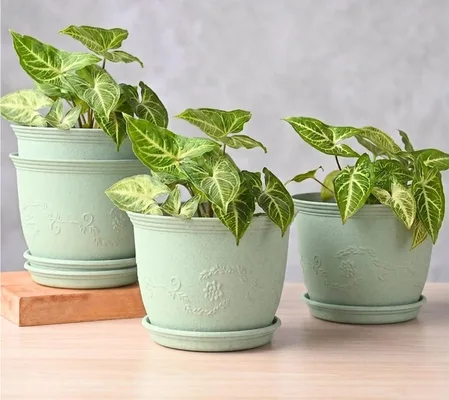 Mint green embossed planters with trays
