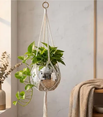 Disco ball planter in a white macrame hanger