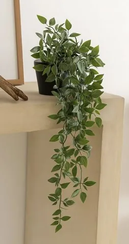 Trailing artificial plant