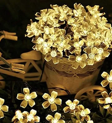 Blossom fairy string lights